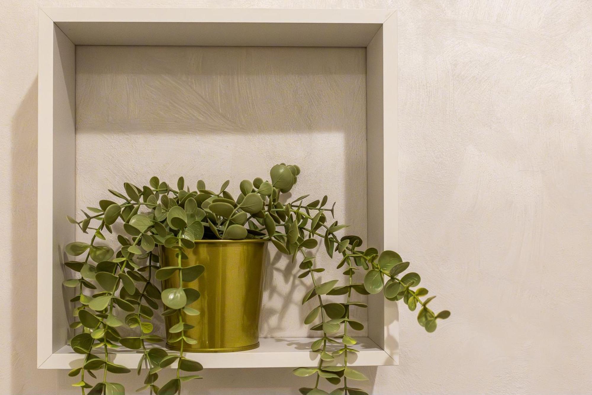 Iflat Cozy Flat At Two Steps From Vatican Appartamento Roma